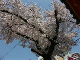 050408_Nagoya10.jpg