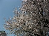 050408_Nagoya16.jpg