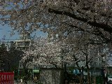 050408_Nagoya19.jpg