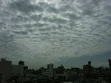 050411_Nagoya28.jpg