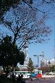 041212_Nagoya002.JPG