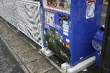 140303_Oarai039.jpg