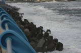 140303_Oarai288.jpg