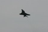 131124_Koukuusai035.jpg