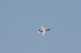 131124_Koukuusai902.jpg