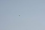 141123_Kakamigahara0069.jpg