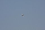 141123_Kakamigahara0088.jpg