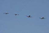 141123_Kakamigahara0595.jpg