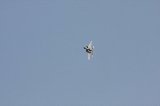 141123_Kakamigahara1335.jpg