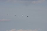141123_Kakamigahara1498.jpg