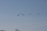 141123_Kakamigahara1707.jpg