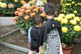 051113_Sugimura_025.jpg