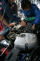 051009_Integra_Paddock_05.jpg