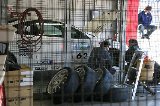 100314_SuperTaikyu_Test_Motegi22.jpg