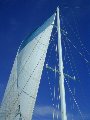 031123_Saipan33.jpg