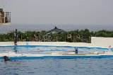 101004_Okinawa025.jpg