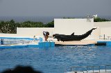 101004_Okinawa078.jpg