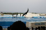 101004_Okinawa092.jpg