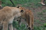 070823_SafariPark_07.jpg