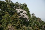 050409_Nannou05.jpg