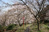 050409_Nannou12.jpg
