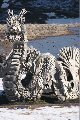 050102_TukimiNoMori54.JPG
