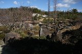 140119_MorikoroPark015.jpg