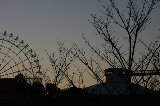 140119_MorikoroPark114.jpg